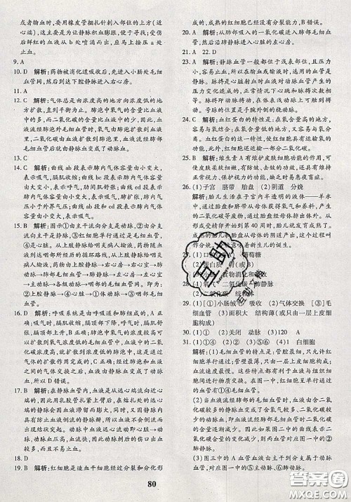 2020新版黄冈360度定制密卷七年级生物下册人教版答案 2020新版黄冈360度定制密卷七年级生物下册人教版答案