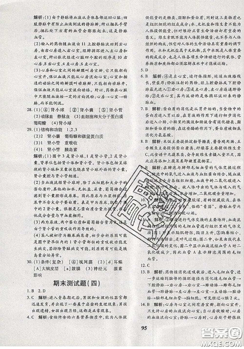 2020新版黄冈360度定制密卷七年级生物下册人教版答案 2020新版黄冈360度定制密卷七年级生物下册人教版答案