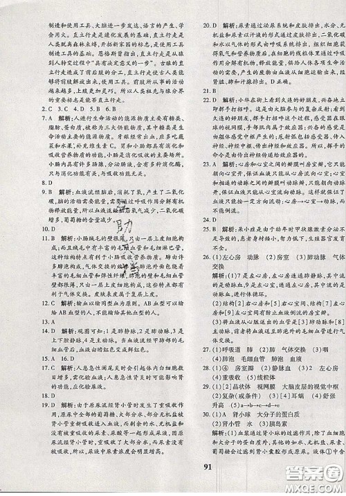 2020新版黄冈360度定制密卷七年级生物下册人教版答案 2020新版黄冈360度定制密卷七年级生物下册人教版答案