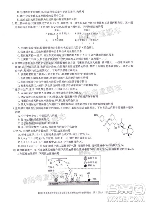 2020年金太阳全国一卷高考模拟大联考理科综合试题及答案