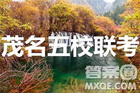 茂名市2020届五校联盟高三级第二次联考语文试题及答案 茂名市2020届五校联盟高三级第二次联考语文试题及答案