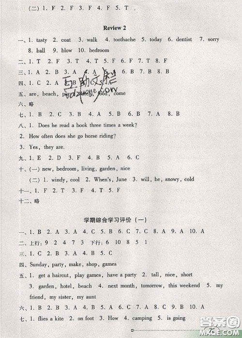 2020新版南方新课堂金牌学案五年级英语下册粤人民版答案 2020新版南方新课堂金牌学案五年级英语下册粤人民版答案