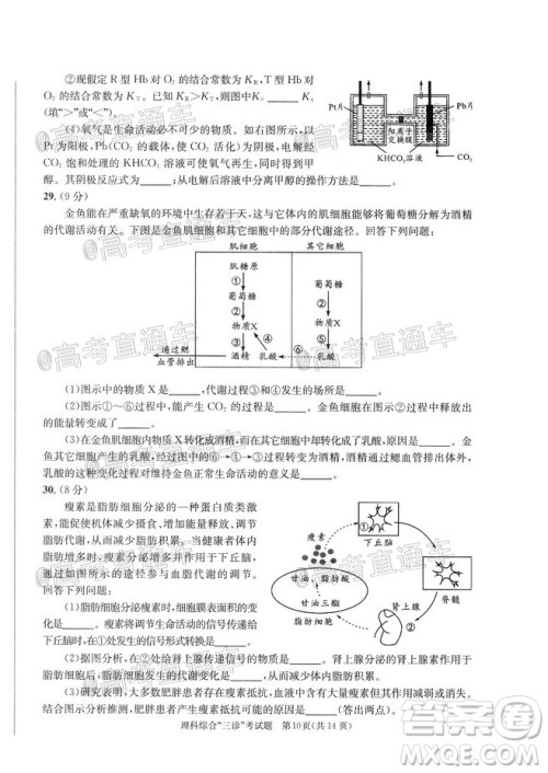 成都市2017级高中毕业班第三次诊断性检测理科综合试题及答案