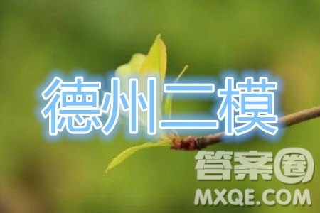 2020年德州二模高三化学试题及答案
