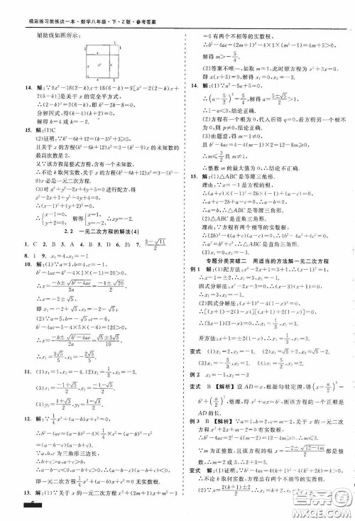 浙江工商大学出版社2020精彩练习就练这一本八年级数学下册Z版B本答案