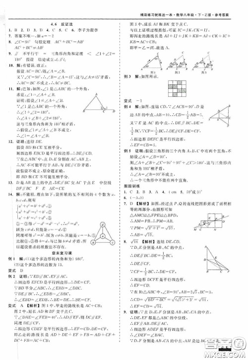 浙江工商大学出版社2020精彩练习就练这一本八年级数学下册Z版B本答案
