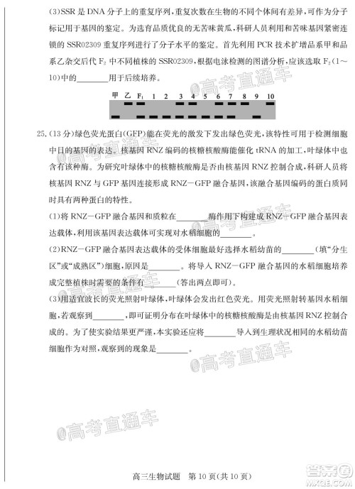 2020年德州二模高三生物试题及答案 2020年德州二模高三生物试题及答案