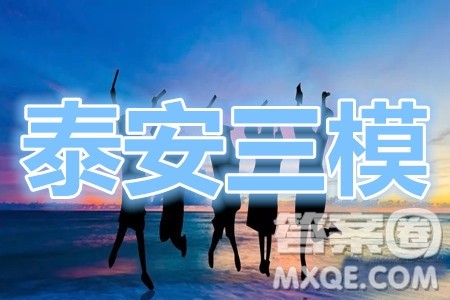 泰安三模2020年高考全真模拟题语文试题及答案