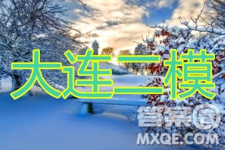 2020年大连市高三第二次模拟考试文科数学试题及答案