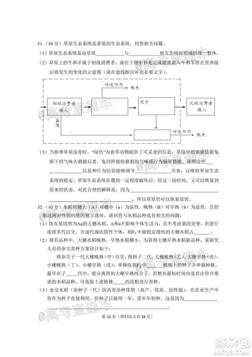 2020年大连市高三第二次模拟考试理科综合试题及答案