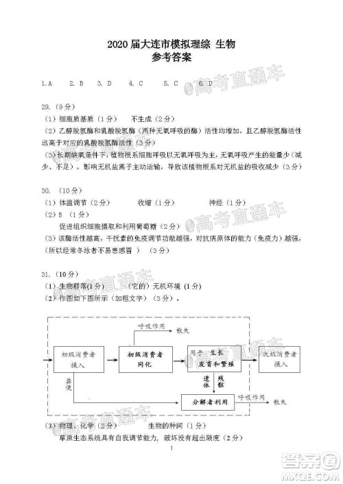 2020年大连市高三第二次模拟考试理科综合试题及答案