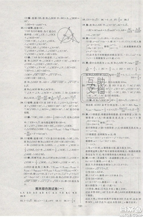 2020年亮点激活中学教材多元演练九年级数学下册北师大版答案