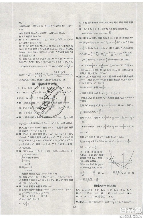 2020年亮点激活中学教材多元演练九年级数学下册北师大版答案