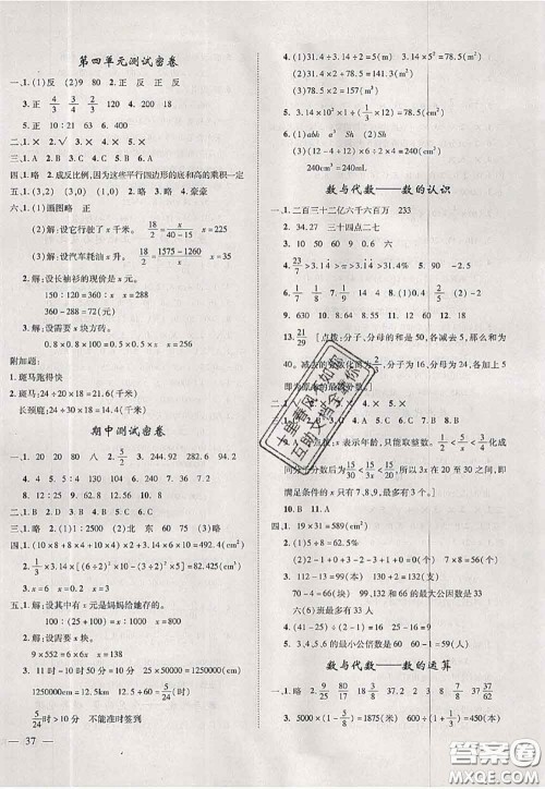 2020新版优干线单元加期末卷六年级数学下册北师版答案