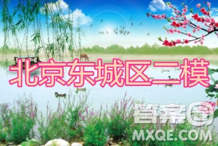 北京市东城区2019-2020学年度第二学期高三综合练习二语文试题及答案 北京市东城区2019-2020学年度第二学期高三综合练习二语文试题及答案