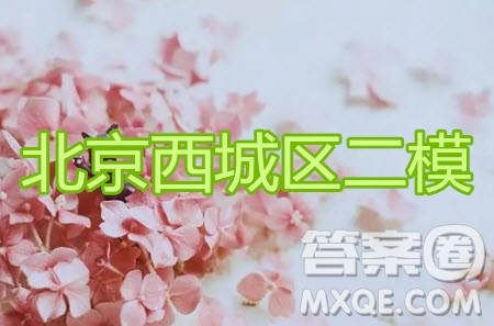 2020年6月北京市西城区高三模拟测试语文试题及答案