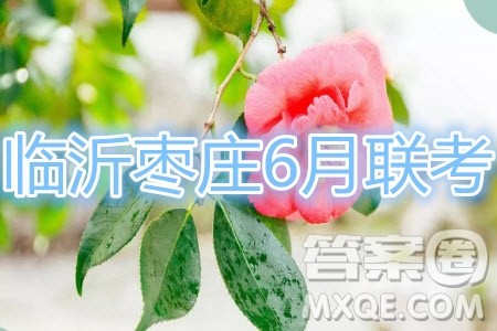 2020年临沂枣庄6月联考高三物理试题及答案