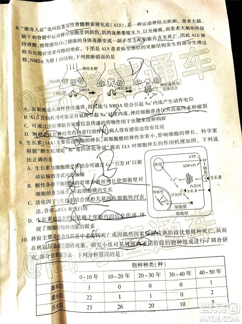 2020年临沂枣庄6月联考高三生物试题及答案