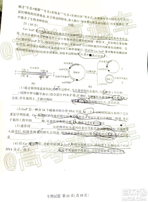 2020年临沂枣庄6月联考高三生物试题及答案