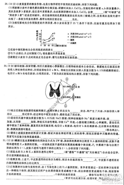 河南省郑州一中2020届高三下学期名校联考理科综合试题及答案 河南省郑州一中2020届高三下学期名校联考理科综合试题及答案