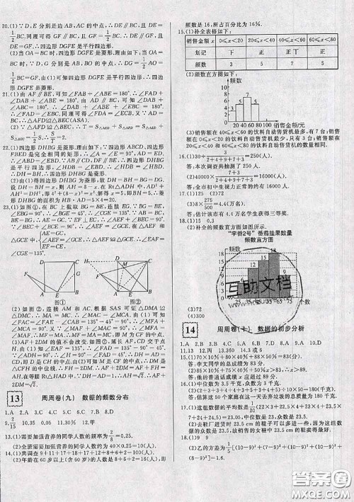 2020新版优翼优干线周周卷初中数学八年级下册沪科版答案