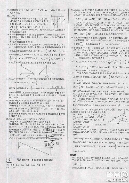 2020新版优翼优干线周周卷初中数学八年级下册沪科版答案