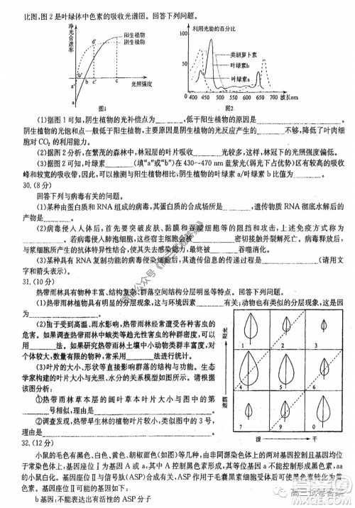 华中师大附中2020届高三高考预测卷理科综合试题及答案