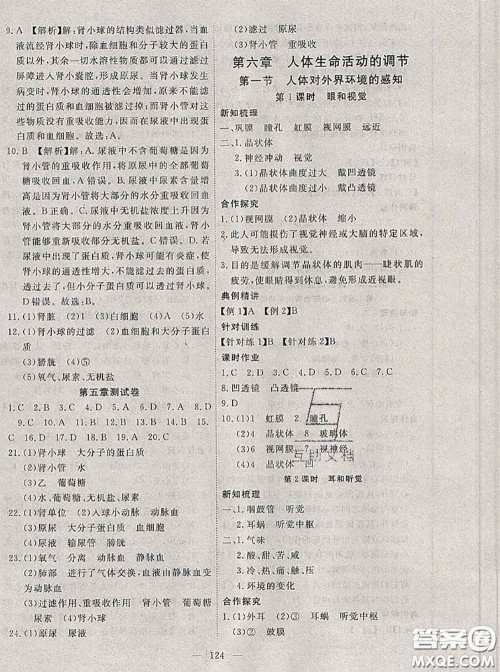 2020新版351高效课堂导学案七年级生物下册人教版答案