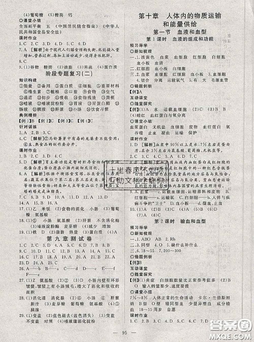 2020新版351高效课堂导学案七年级生物下册苏教版答案