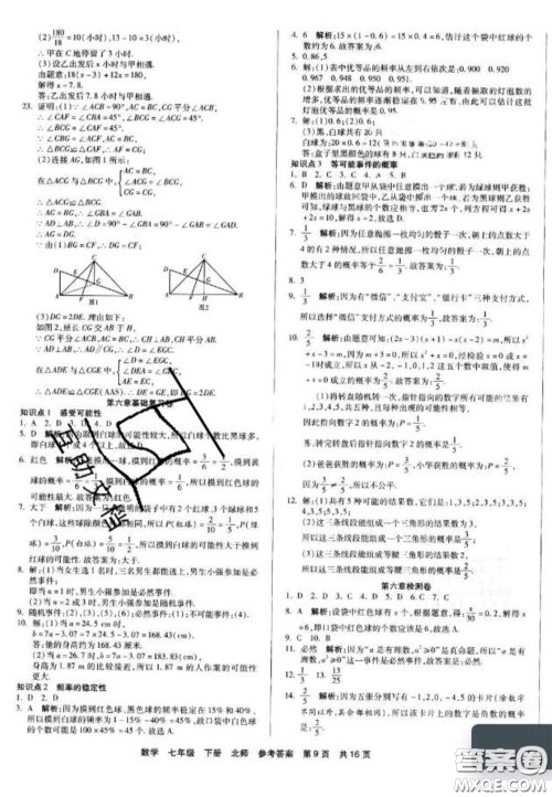 阳光出版社2020年优品单元与期末七年级数学下册北师大版答案