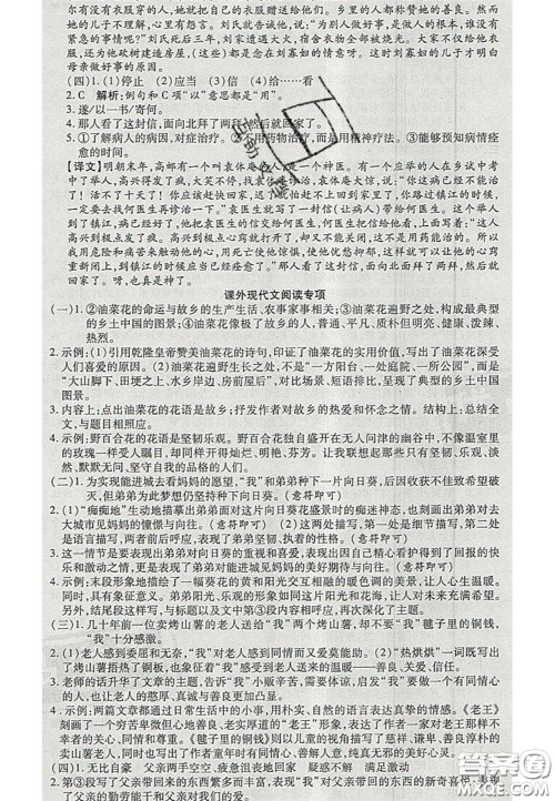 阳光出版社2020年优品单元与期末七年级语文下册人教版答案 阳光出版社2020年优品单元与期末七年级语文下册人教版答案