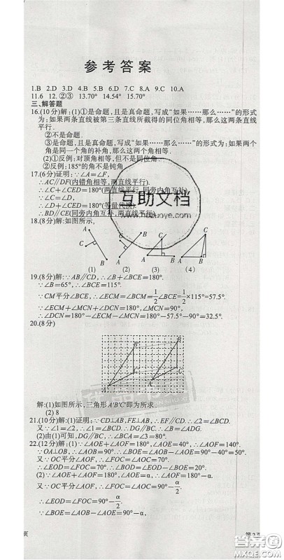阳光出版社2020年优品单元与期末七年级数学下册人教版答案
