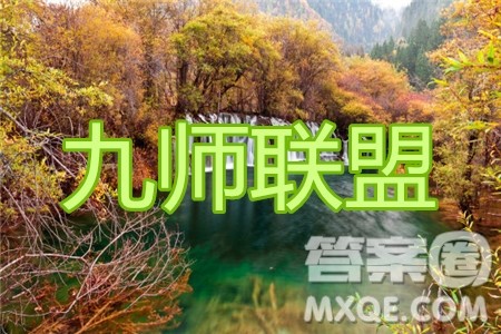 九师联盟2019-2020学年高三押题信息卷二语文试题及答案