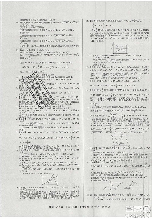 阳光出版社2020年优品单元与期末八年级数学下册人教版答案