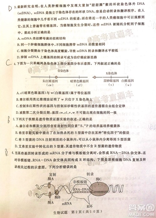 济宁二模2019-2020学年度高考模拟考试生物试题及答案