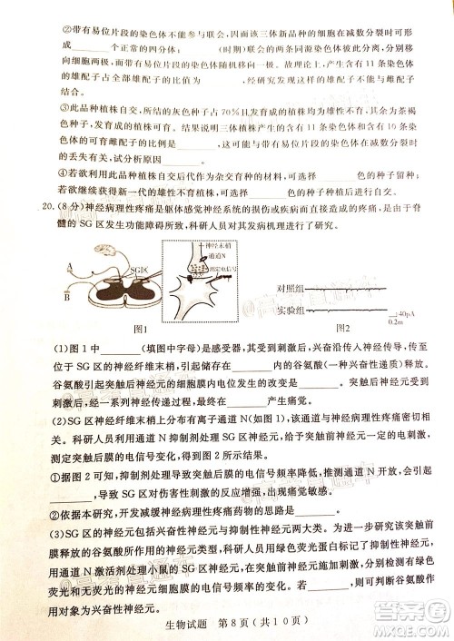 济宁二模2019-2020学年度高考模拟考试生物试题及答案