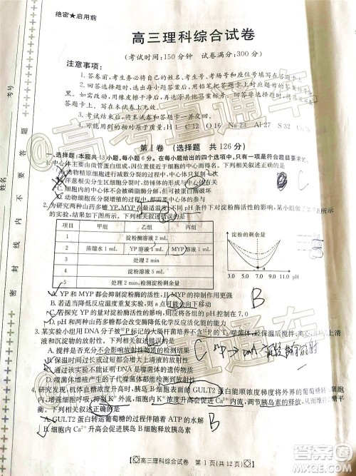 2020年金太阳百万联考全国I卷双四方形高三理科综合试题及答案 2020年金太阳百万联考全国I卷双四方形高三理科综合试题及答案