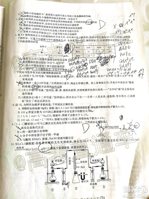 2020年金太阳百万联考全国I卷双四方形高三理科综合试题及答案 2020年金太阳百万联考全国I卷双四方形高三理科综合试题及答案