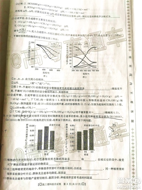 2020年金太阳百万联考全国I卷双四方形高三理科综合试题及答案