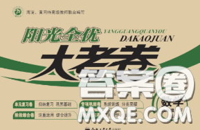 2020新版阳光全优大考卷六年级数学下册人教版答案 2020新版阳光全优大考卷六年级数学下册人教版答案