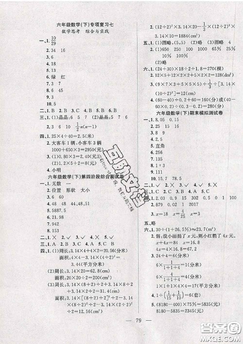 2020新版阳光全优大考卷六年级数学下册人教版答案