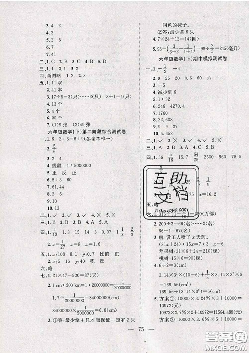 2020新版阳光全优大考卷六年级数学下册人教版答案