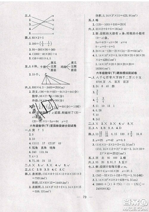 2020新版阳光全优大考卷六年级数学下册北师版答案