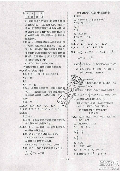 2020新版阳光全优大考卷六年级数学下册北师版答案