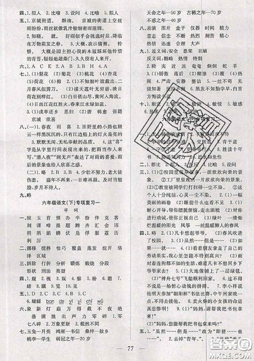 2020新版阳光全优大考卷六年级语文下册人教版答案 2020新版阳光全优大考卷六年级语文下册人教版答案