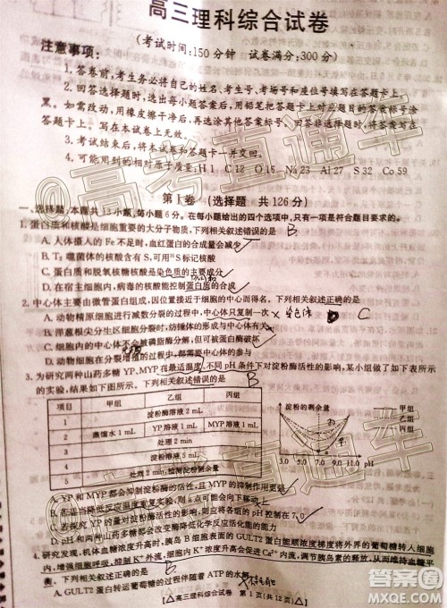 2020年金太阳百万联考全国II卷三角形高三理科综合试题及答案