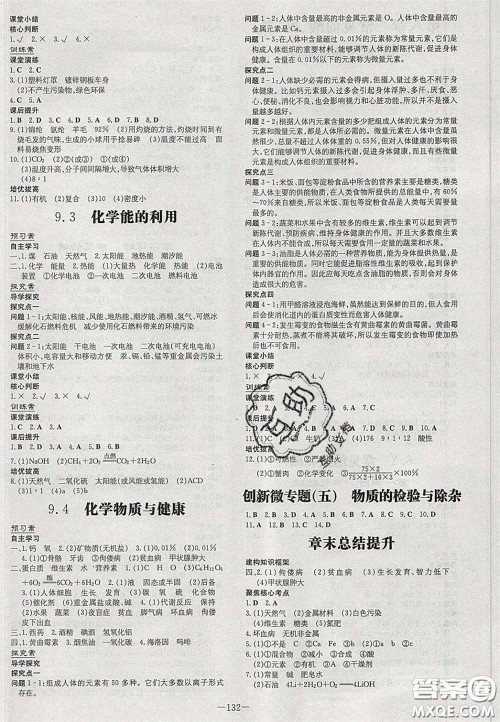 2020初中同步学习导与练导学探究案九年级化学下册科粤版答案