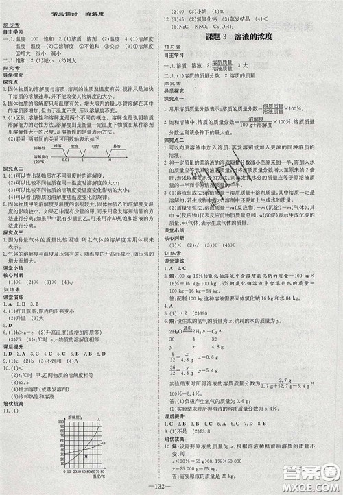 2020初中同步学习导与练导学探究案九年级化学下册人教版答案