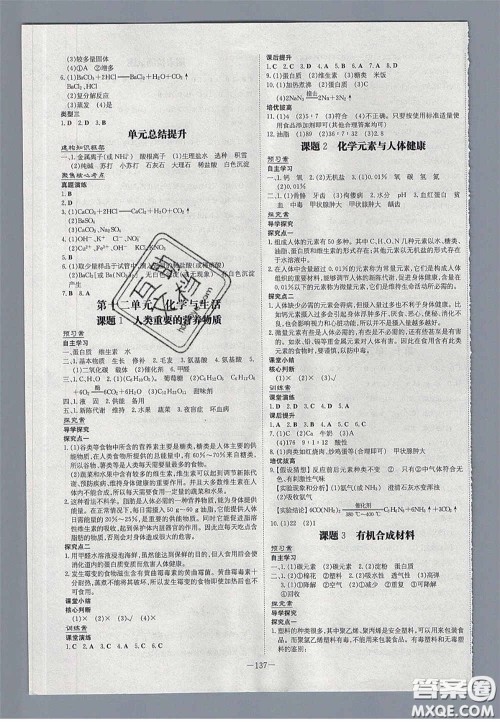 2020初中同步学习导与练导学探究案九年级化学下册人教版答案