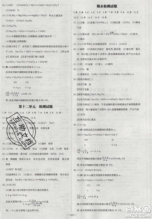 2020初中同步学习导与练导学探究案九年级化学下册人教版答案